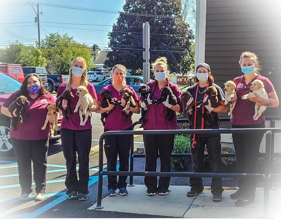 Veterinarian in Kutztown, PA